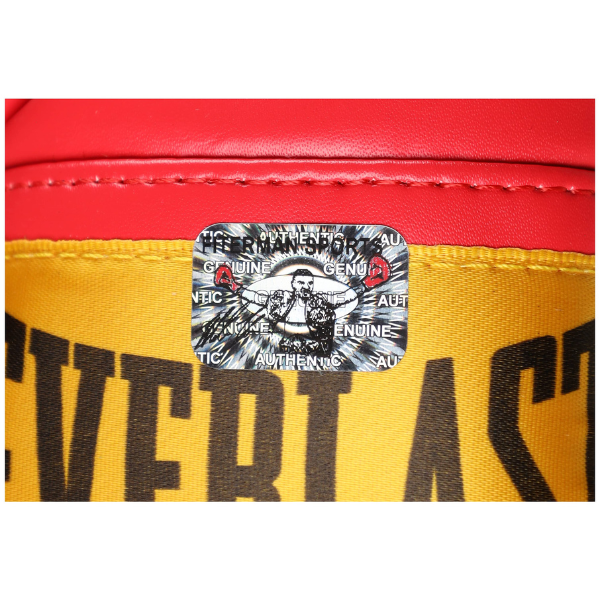 🥊 Mike Tyson Everlast Boxhandschuh Display – mit Foto, signiertem Everlast-Rechtshandschuh – 66 x 58 cm – inkl. Beckett LOA 🥊