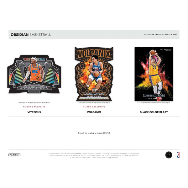 Panini Obsidian Hobby Box NBA Basketball 2024/2025